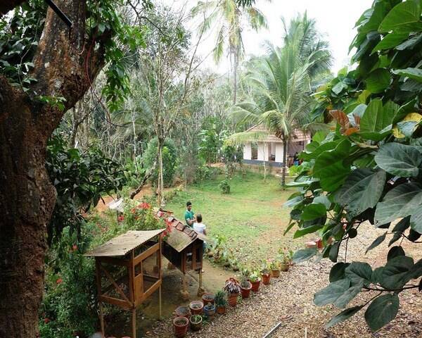 Varnam Homestay, Wayanad 5